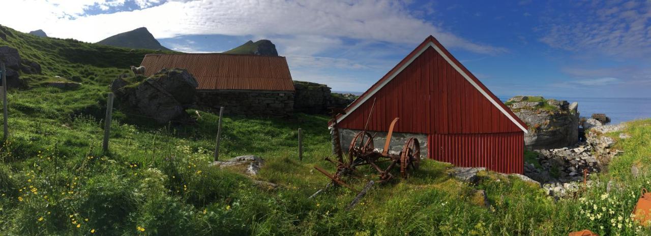 Lofoten Fjord *
