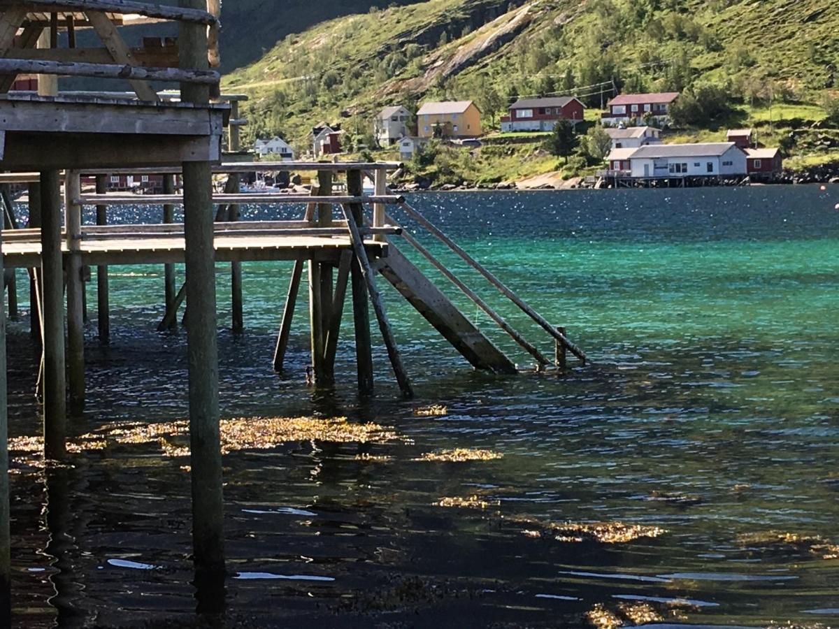 Lofoten Fjord Villa *